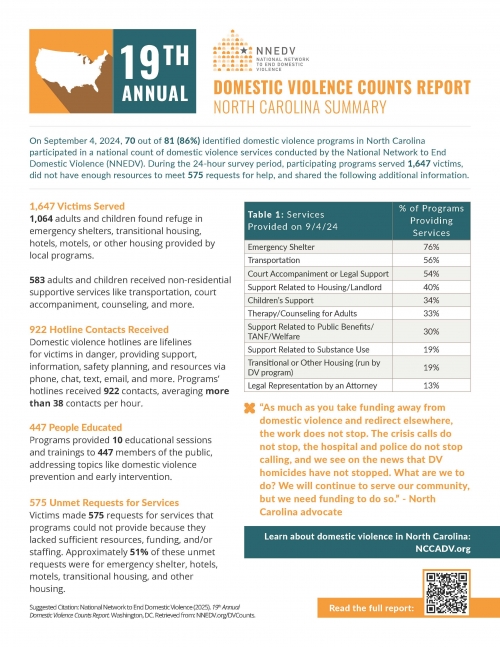 19th Annual DV Counts Report -2025